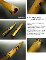 Bachoho Shakuhachi (Kaede)