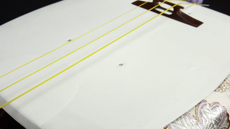 [Used shamisen/selected item] Kouta/Hatauta Kinhosamisen (completed product) WKT-TS029