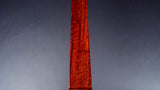 民谣贝尼基·金霍沙米森本体 [教师模型] 短长 1.5 英寸 (WKT-3907K)