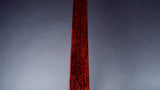 民谣贝尼基金霍三味线本体 [顶部/教师模型] 短长 1.5 英寸 (WKT-3910K)
